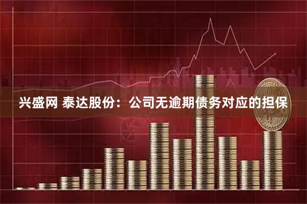 兴盛网 泰达股份：公司无逾期债务对应的担保