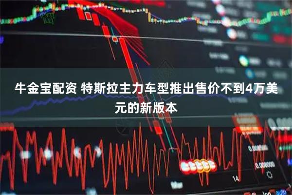 牛金宝配资 特斯拉主力车型推出售价不到4万美元的新版本